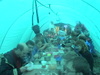 DSC00309.JPG