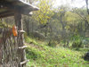 thach_014